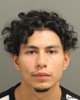 Henry  Flores-guevara Mugshot