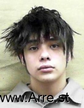 Henry O Gonzalez Mugshot