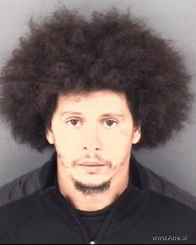 Joshua Jose Rodriguez-andino Mugshot