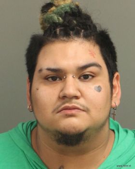 Javier Alcides Jr Hernandez Mugshot