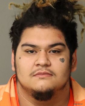 Javier Alcides Jr Hernandez Mugshot