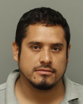 Javier  Tellez-sosa Mugshot