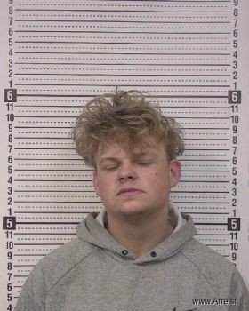 Jayden David Williams Mugshot