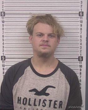 Jayden David Williams Mugshot