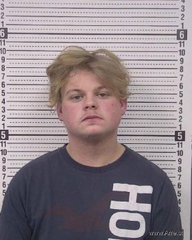 Jayden David Williams Mugshot