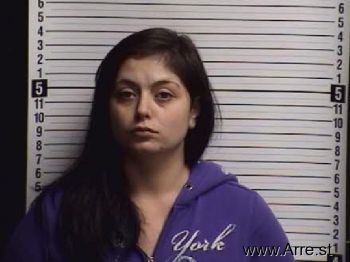 Jayme Lynn Schmidt Mugshot