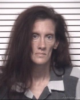 Jennifer Sue Bradford Mugshot