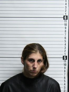 Jennifer Renee Rice Mugshot