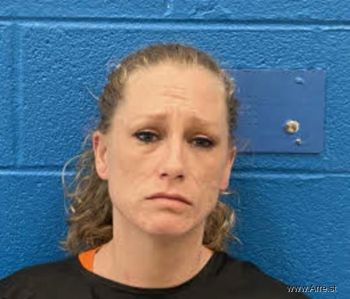 Jessica Ann Mitchell Mugshot