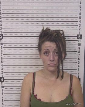 Jessica Lynn West Mugshot