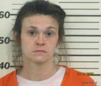 Jessica Elizabeth Whitman Mugshot