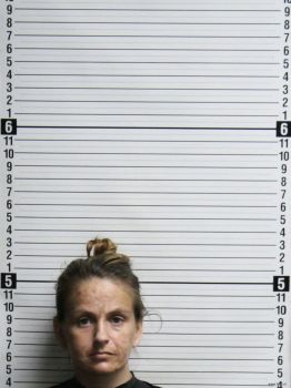 Jessica Lynn Williamson Mugshot