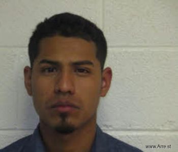 Jesus  Bustos-vergara Mugshot