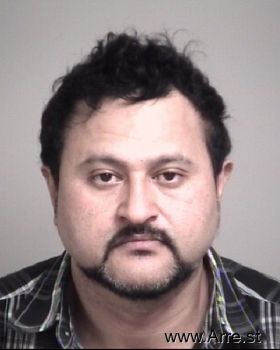 Johnny Jose Castillo-salinas Mugshot