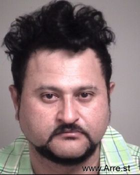 Johnny Jose Castillo-salinas Mugshot