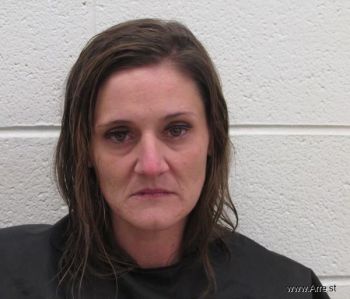 Jolene Bobette Johnson Mugshot