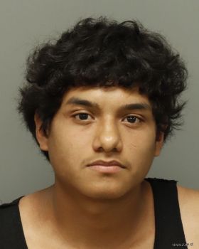 Jonathan  Rincon-sanchez Mugshot