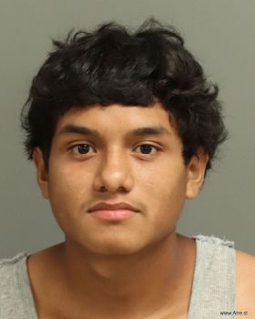 Jonathan  Rincon-sanchez Mugshot