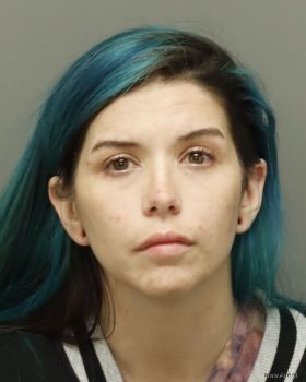 Jordan-ann  Drecktrah Mugshot