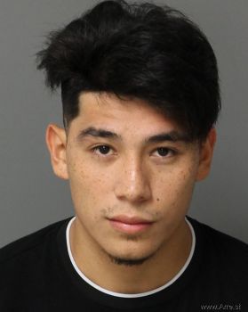 Jorge Jr Garza Mugshot