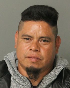 Jorge  Leyva-ramos Mugshot