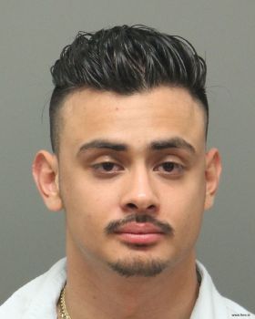 Jorge Leonardo Ramirez-vega Mugshot