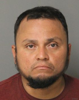 Jose Armando Bermudez-coreas Mugshot