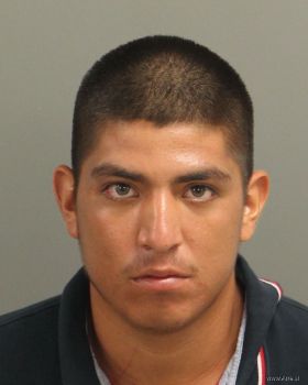 Jose Valente Gallegos-lara Mugshot