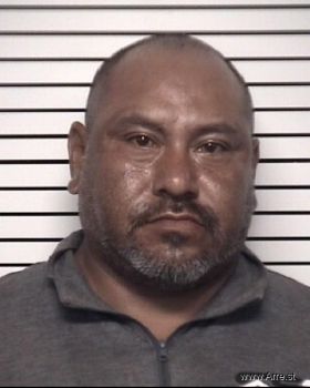 Jose Ignacio Gallegos-olaldie Mugshot