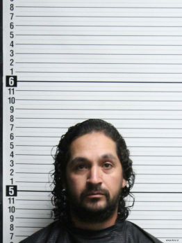 Jose Luis Padilla-ferrer Mugshot