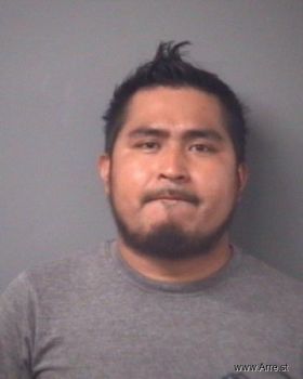 Jose Ameca Salazar Mugshot