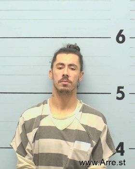 Joseph Ryan Perry Mugshot