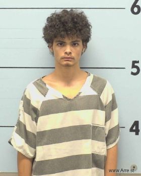 Joshua Adam King Mugshot