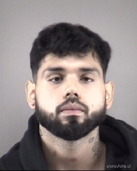 Joshua  Sandoval-cerritos Mugshot