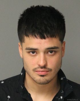 Josue Arturo Deleon-avelar Mugshot