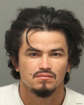 Juan Alberto Castro-cardenas Mugshot