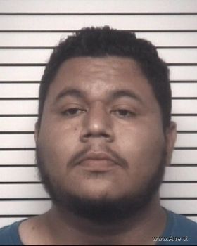 Juan Jose Villalobos Mugshot