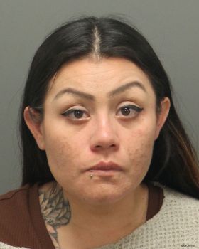 Juanita Alejandra Nava-velasco Mugshot