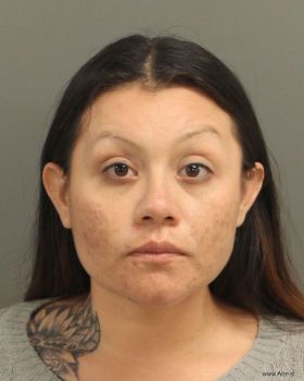 Juanita Alejandra Nava-velasco Mugshot