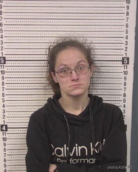 Julia Virginia Mccarty Mugshot