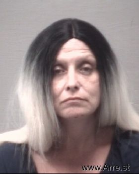 Julie Ann Ellison Mugshot