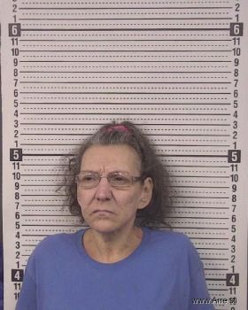 Julie Lynn Johnson Mugshot