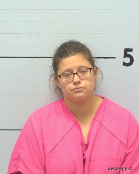 Kara Ashley Mitchell Mugshot