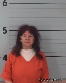 Karen Lee Lawhead Mugshot