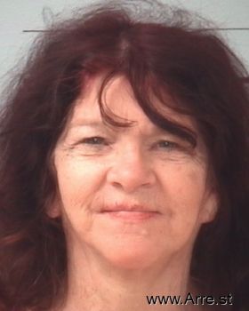 Karen Lee Lawhead Mugshot