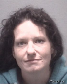 Karen Lynn Price Mugshot