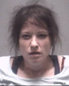 Karen Lynn Price Mugshot