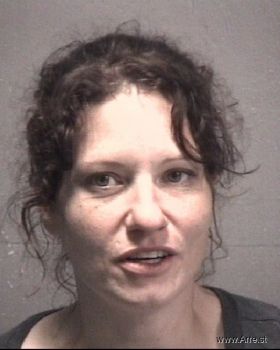 Karen Lynn Price Mugshot