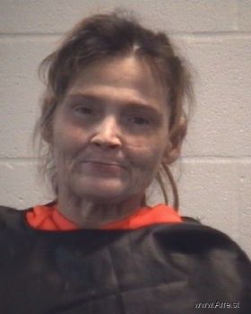 Kelly Michelle Phillips Mugshot