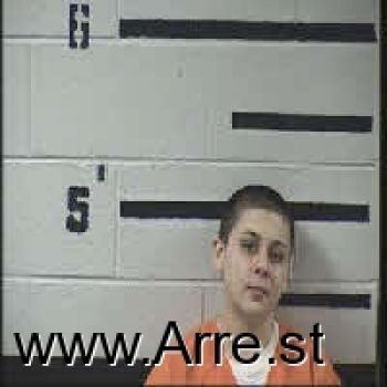 Kimberly Dawn Lail Mugshot